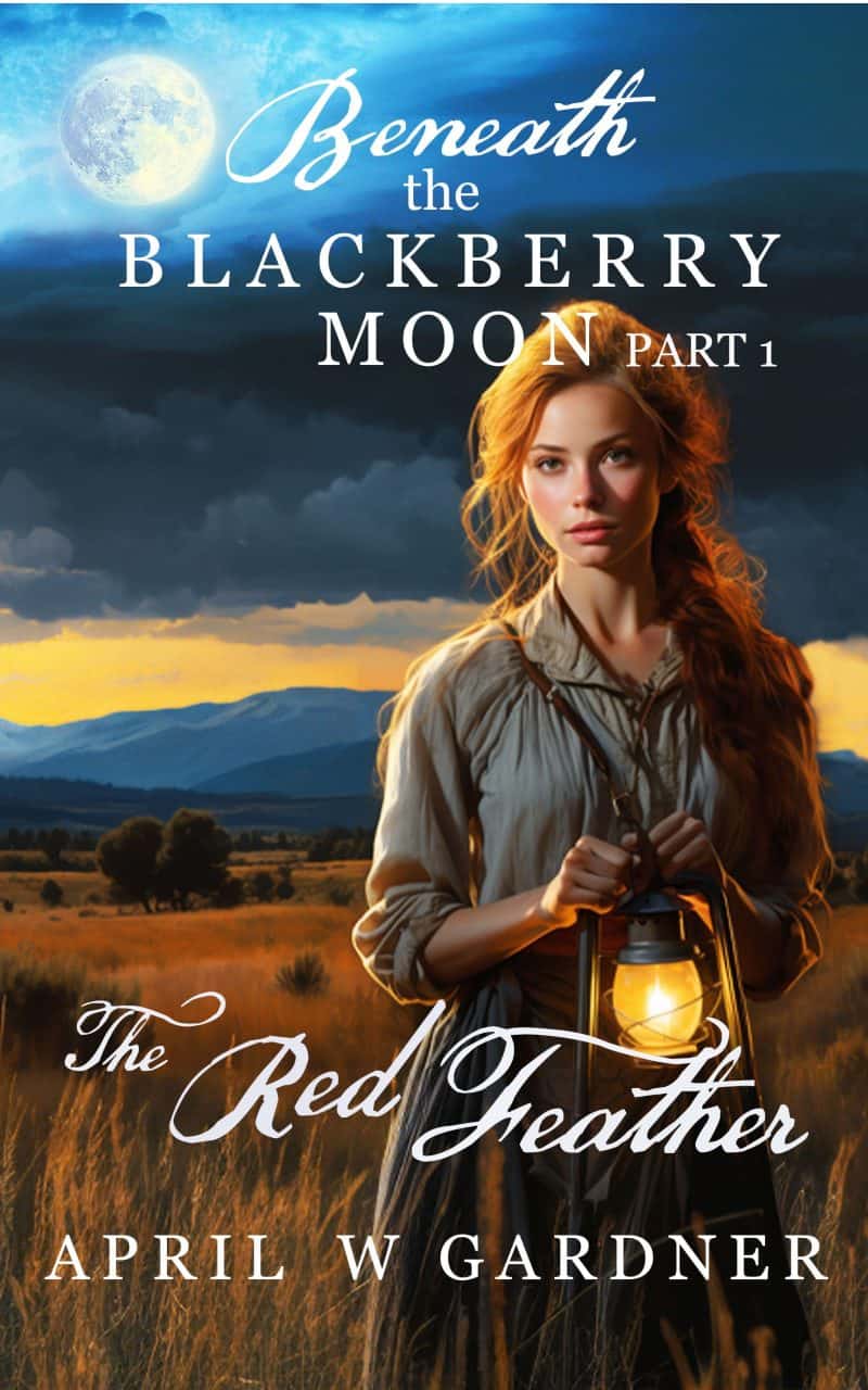 Cover for The Red Feather: Christian Native American Historical