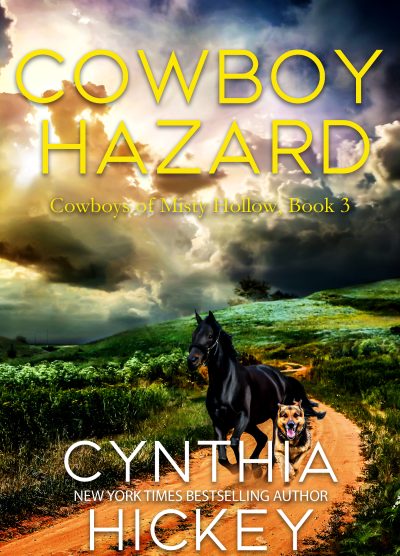 Cover for Cowboy Hazard