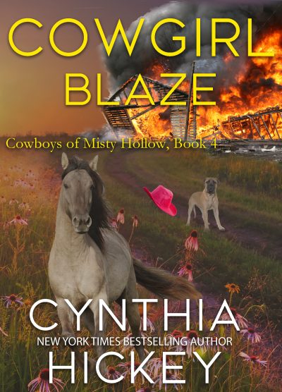 Cover for Cowgirl Blaze