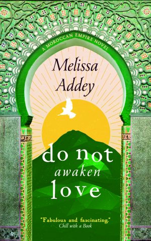 Cover for Do Not Awaken Love