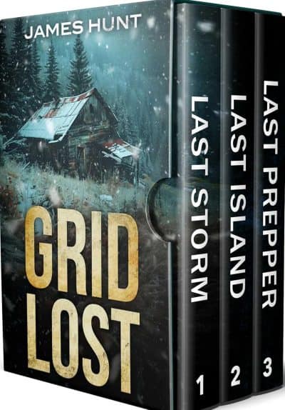 Cover for Grid Lost