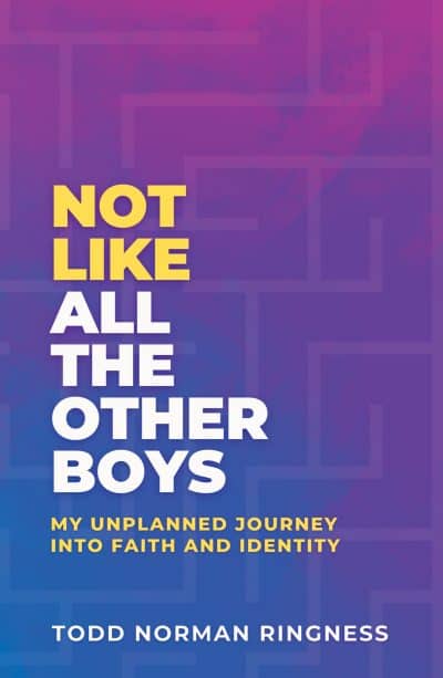 Cover for Not Like All the Other Boys