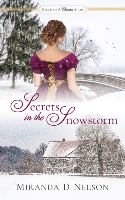 Cover for Secrets in the Snowstorm