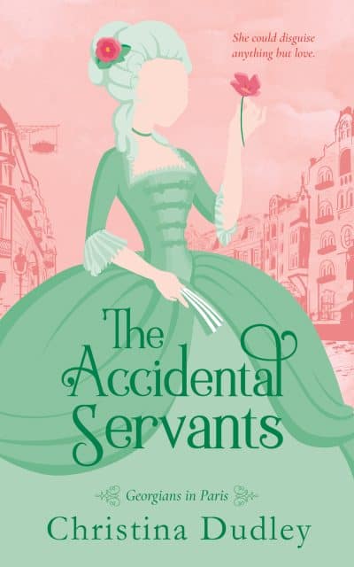 Cover for The Accidental Servants