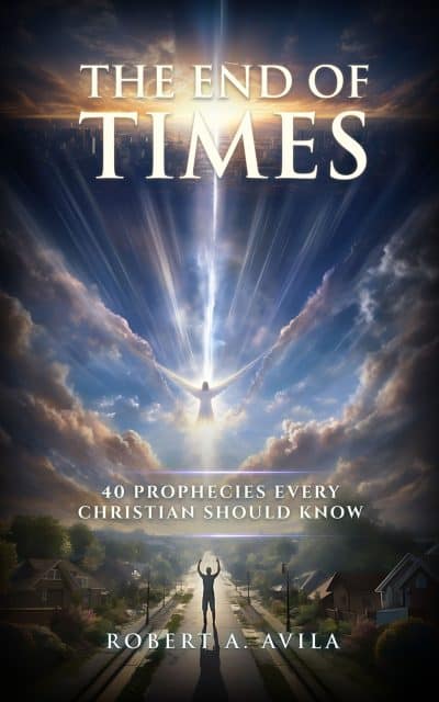 Cover for The End Times