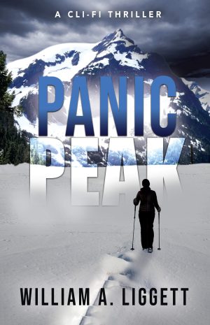 Cover for Panic Peak