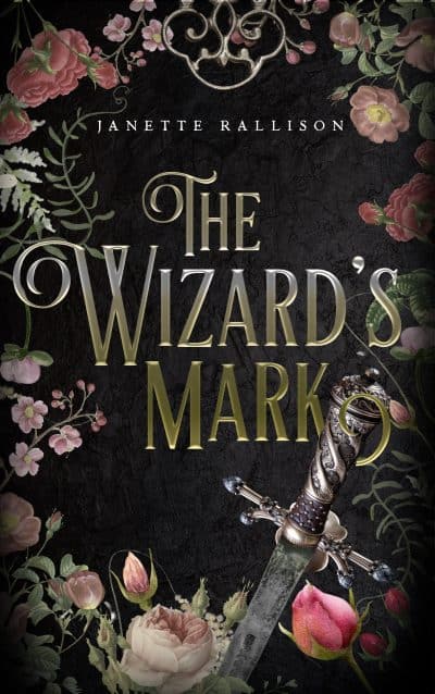 Cover for The wizard's mark