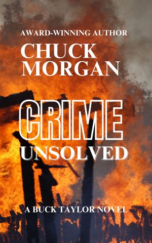 Cover for Crime Unsolved