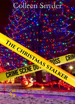 Cover for The Christmas Stalker