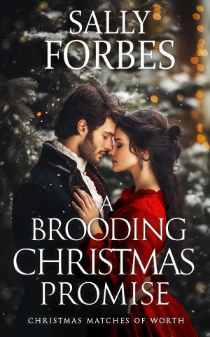 Cover for A Brooding Christmas Promise