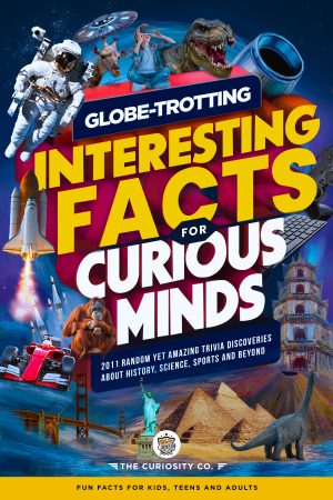 Cover for Globe-Trotting Interesting Facts for Curious Minds: 2011 Random Yet Amazing Trivia Discoveries