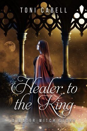 Cover for Healer to the King