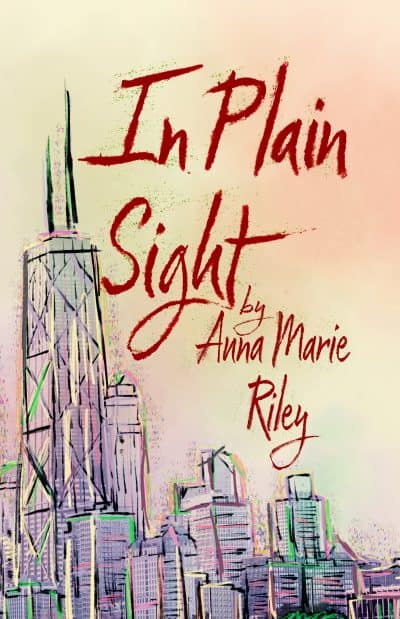 Cover for In Plain Sight