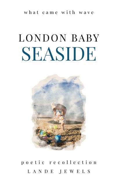 Cover for Seaside: What Came with Wave