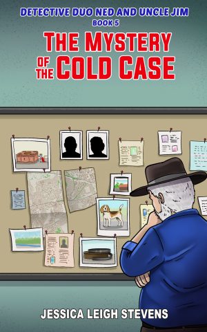 Cover for The Mystery of the Cold Case