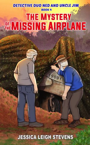 Cover for The Mystery of the Missing Airplane