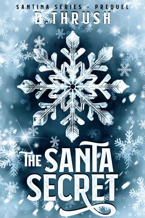 Cover for The Santa Secret