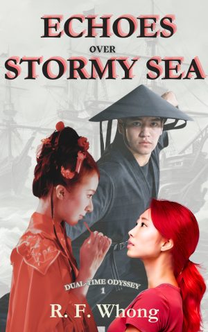 Cover for Echoes over Stormy Sea