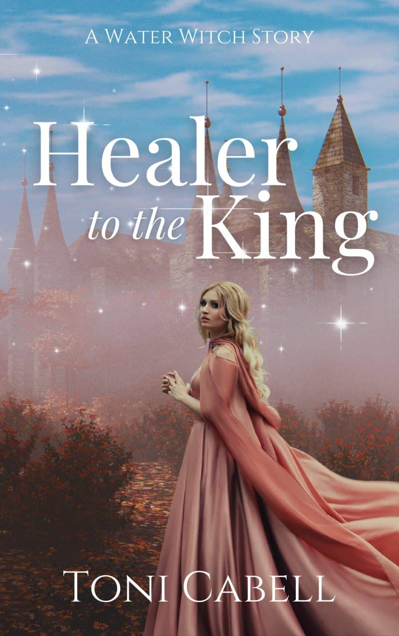 Cover for Healer to the King