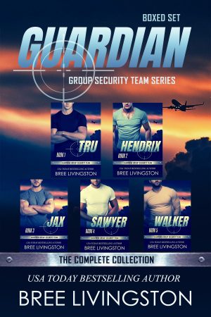 Cover for Guardian Group Security Team Boxed Set