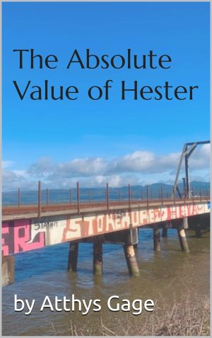 Cover for The Absolute Value of Hester