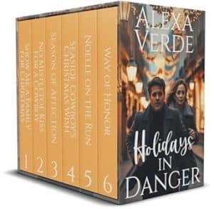 Cover for Holidays in Danger
