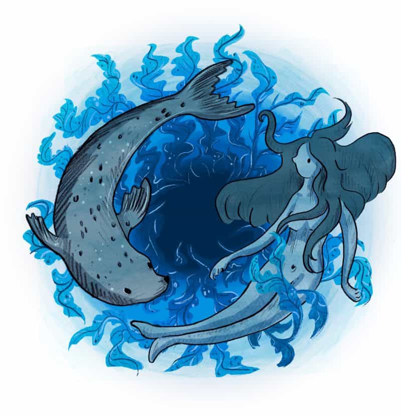 Cover for The Selkie and the Sea of Trash