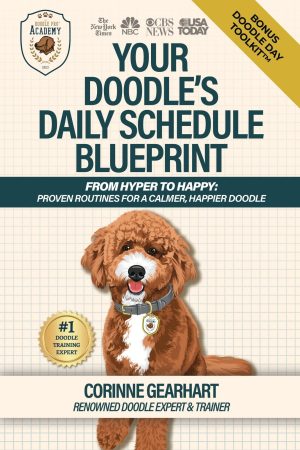 Cover for Your Doodle's Daily Schedule Blueprint: From Hyper to Happy
