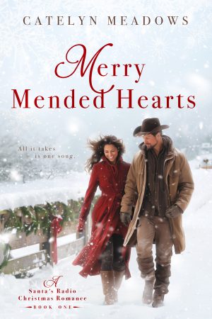 Cover for Merry Mended Hearts