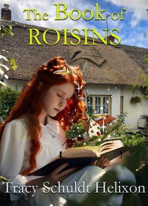 Cover for The Book of Roisins