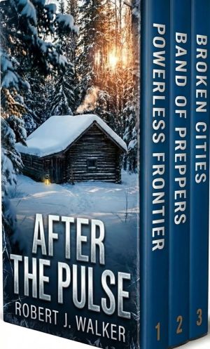 Cover for After the Pulse
