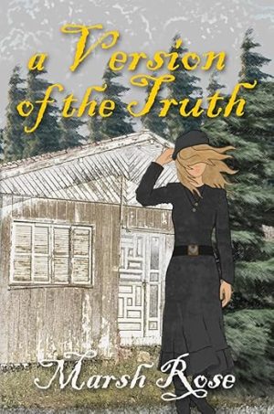 Cover for A Version of the Truth