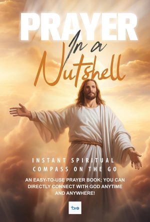Cover for Prayer in a Nutshell: Instant spiritual compass on the go