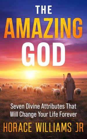 Cover for The Amazing God: Seven Divine Attributes that will Change Your Life Forever