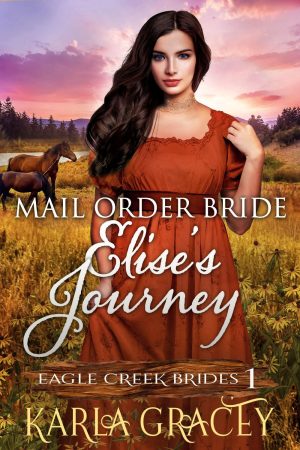 Cover for Mail Order Bride - Elise's Journey