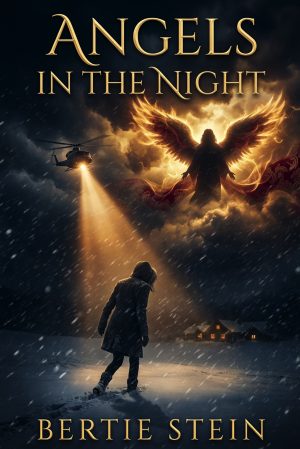 Cover for Angels in the Night
