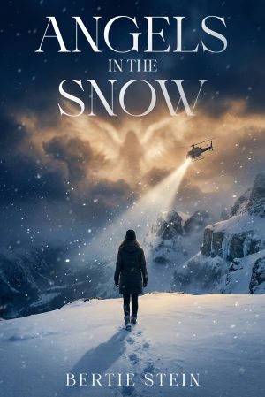 Cover for Angels in the Snow