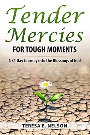 Cover for Tender Mercies for Tough Moments