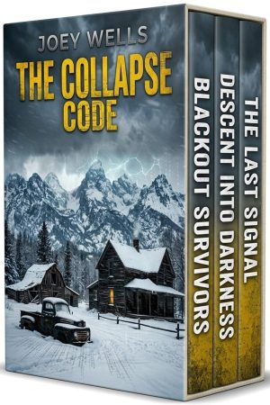 Cover for The Collapse Code
