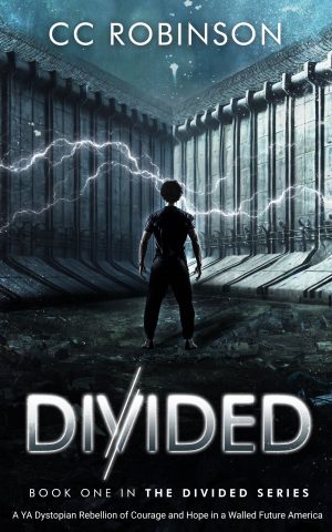 Cover for Divided