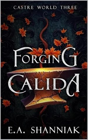 Cover for Forging Calida